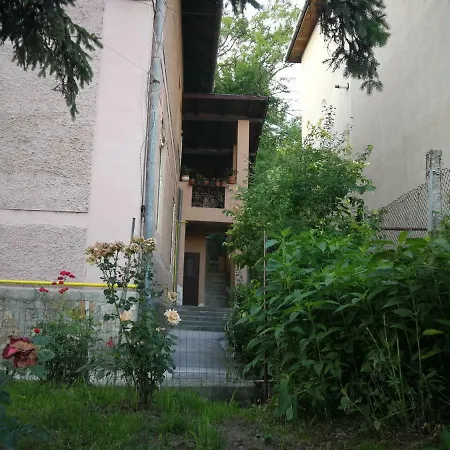 Apartament Hunter *