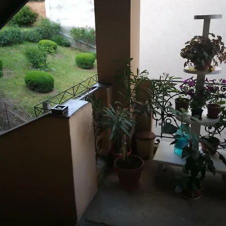 Apartament Hunter *