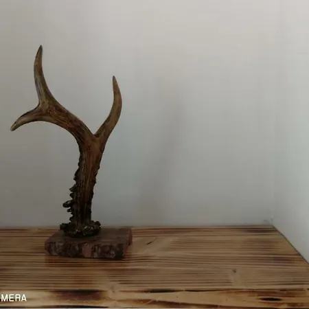 Apartament Hunter *