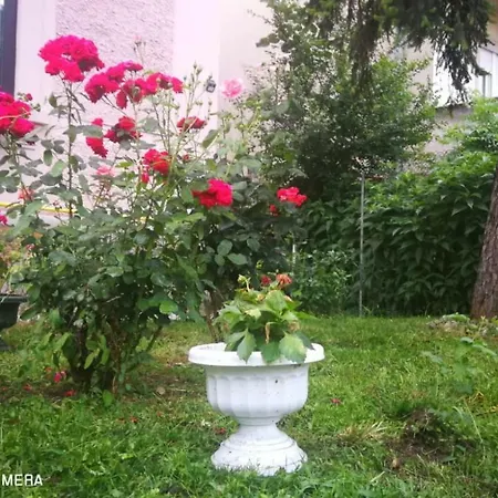 Apartament Hunter Apartment *