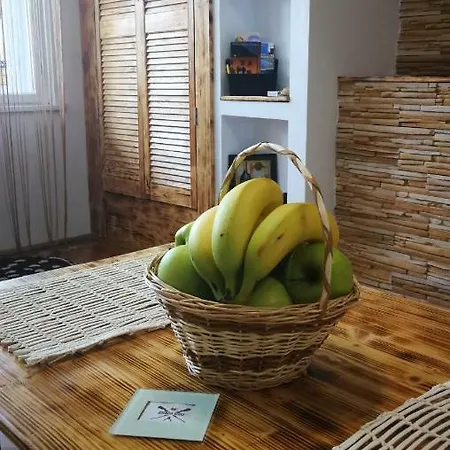 Apartament Hunter Apartment Cluj-Napoca